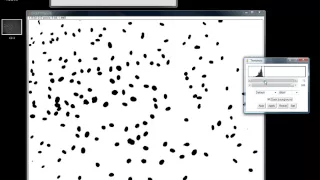 How to count cells using ImageJ