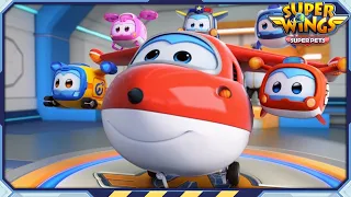 ✈[SUPERWINGS] Superwings 5 Super Pets! Full Episodes Live ✈