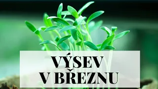 Výsev zeleniny v březnu - 30 tipů, co můžeme vysévat ven, do skleníku nebo doma