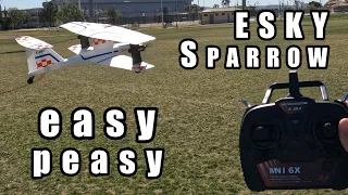 ESKY Sparrow Beginner Biplane EASY TO FLY 🛩️