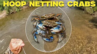 Throwing a HOOP NET in a Roadside Ditch for Crabs, Shrimp, and Fish (CATCH AND COOK)