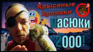 Дикари | Пасюки 2000, или странный выпуск! (Wild Rats | Дикие Крысы)