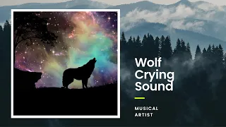 Awesome wolf Howling Compilation | Wolves Howling Sounds | Musical Artist