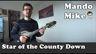 Star of the County Down - Mandolin Lesson (Beginner & Intermediate)