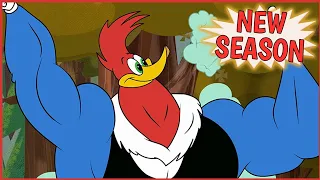 Woody Woodpecker💥 The Crimson Crest 💥 NEW EPISODE 1/9