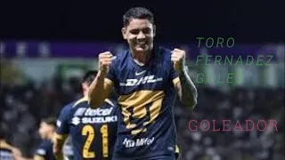 GOLES GABRIEL FERNANDEZ TORO PUMAS