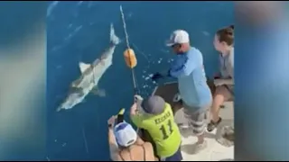 12-Year-Old Boy Catches GREAT WHITE SHARK Off The Coast of Fort Lauderdale, Florida | NBC 6 News