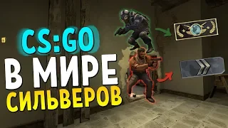 В МИРЕ СИЛЬВЕРОВ #26 | CS:GO