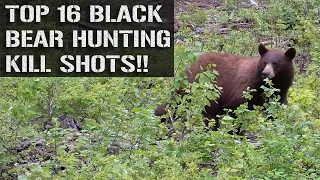TOP 16 BLACK BEAR HUNTING KILL SHOTS!!
