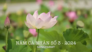 năm cá nhân số 3 - 2024