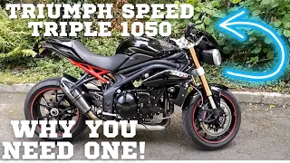 2011 TRIUMPH SPEED TRIPLE 1050 REVIEW AND THOUGHTS vs APRILIA TUONO 1000R GEN 2 - WHICH IS BEST?