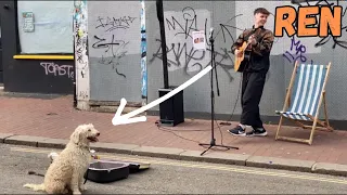 Dogs like Good Music! Ren playing Fly Me To The Moon. Busking!