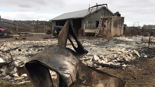 Backpackers granted visa benefits to assist with bushfire rebuild