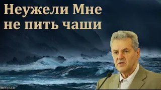 "Неужели Мне не пить чаши". А. М. Гантовник. МСЦ ЕХБ