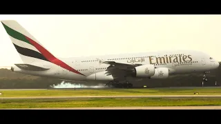 Amazing Morning Planespotting at Brisbane Airport | Emirates A380 and more!