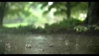 Сильный дождь - Звук дождя - Расслабляющий и успокаивающий - Мгновенный сон - Гром - sound of rain