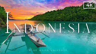 Beauty Of Indonesia 🇮🇩 4K ft. Bali | Blue Moon Universe |