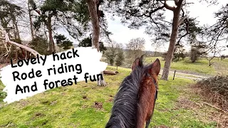 Spring outing on the horses