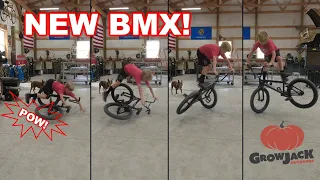 Assembling and CRASH Testing My Kink BMX