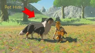 How to pet a Hylian retriever in Botw