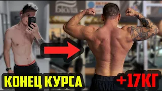 ИТОГИ КУРСА - ЧТО ДАЛЬШЕ? ДИМА НАЧИНАЕТ НАТУРАЛЬНЫЙ КУРС