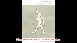 The evolution of man for a few minutes- (backwards)