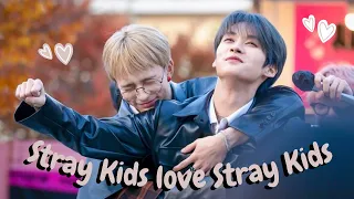 Stray Kids love Stray Kids pt. 12