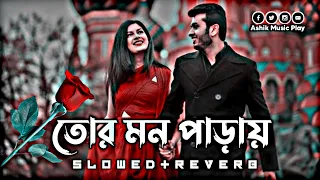 Tor Mon Paray Loif l Slowed+Reverb l Mahdi Sulten l তোর মন পাড়ায় l Jisan Khan Shuvo l Ashik Music