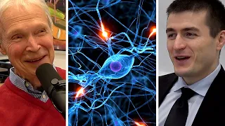 Biological versus Artificial Neural Networks (John Hopfield) | AI Podcast Clips