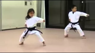 Os Seis Primeiro Kata KARATE SHOTOKAN