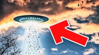 НЛО в Волгограде - Видео Очевидцев, Реальные Кадры 2019 (UFO)