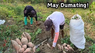 May Dumating at sinimot na namin ang mga Kamote at Binhi sa Farm | BUHAY PROBINSYA