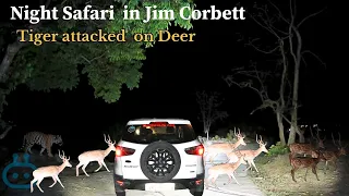 Camping in jungle | car camping | Jim Corbett night safari | tiger attacked sitabani
