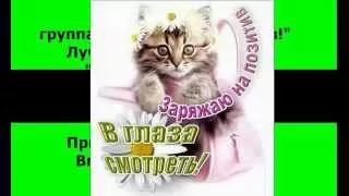 Шуточный  гороскоп на 2016 год!