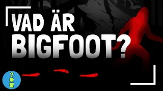 VAD ÄR BIGFOOT?