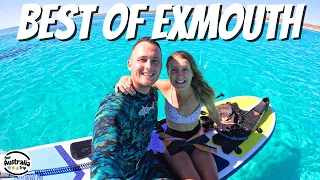 Swimming with Whale Sharks and Camping on the Ningaloo Reef | Exmouth, Western Australia [EP33]