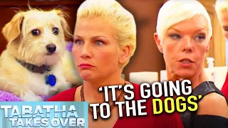 Doggy DAYCARE Disaster - Tabatha Takes Over | S04E09 | Beauty Rescue (Reality TV) | Fresh Lifestyle