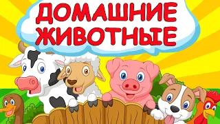 Загадки про домашних животных для детей. Развивающие мультики с Алисой Звуковой