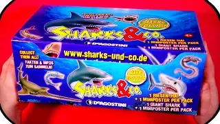 SHARKS and CO Figures Maxxi Edition Ƹ̴Ӂ̴Ʒ FULL BOX DeAgostini BLIND BAG UNBOXING