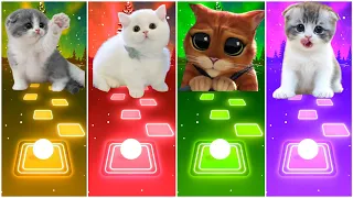 CUTE CATS - DANCE MONKEY - BAD GUY - PUSS IN BOOTS - HOW YOU LIKE THAT - TILES HOP EDM RUSH