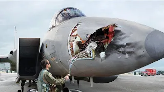 What Happens When Crazy Birds Hit $100 Million US Air Force Jets Mid Air