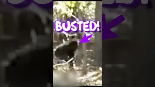 Bigfoot BABY videobombing! 📹💣 #amazing