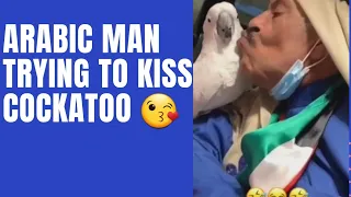 parrot Cockatoo laughing ,cockatoo fighting ,cockatoo refused to kiss an Arabic man funny moments