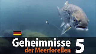 Geheimnisse der Meerforellen 5 Spinnfischen