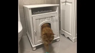 Закрытый туалет для кошек "Felix". Кошачий туалет закрытый деревянный