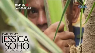 Kapuso Mo, Jessica Soho: Lalaking tatlong taong namalagi sa puno ng niyog, sinagip