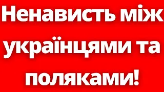 Хто це розганяє?! Ненависть між українцями і поляками нашкодить кожному!