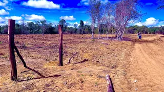 A Ideia da Cerca bem Alinhada - Vida de Caipira/The Idea of ​​the Fence