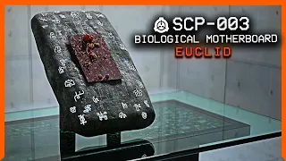 SCP-003 │ Biological Motherboard │ Euclid │ Transfiguration/K Class Scenario SCP