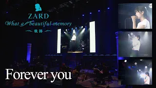 「Forever you」（ZARD 30th Anniversary Live “What a beautiful memory 〜軌跡〜）